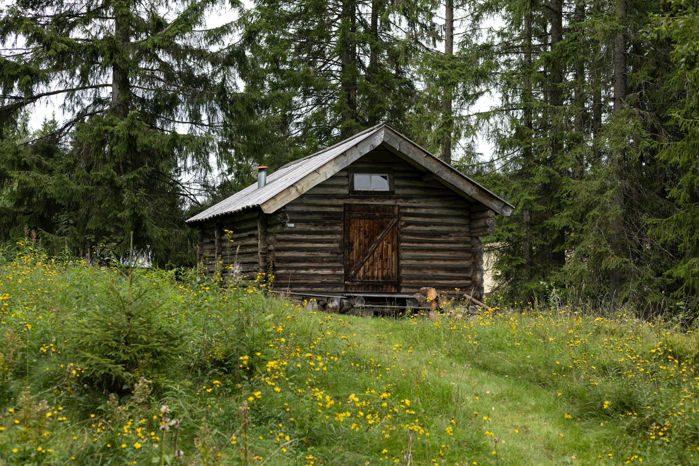 Sådan forsikrer du fritidshuset korrekt