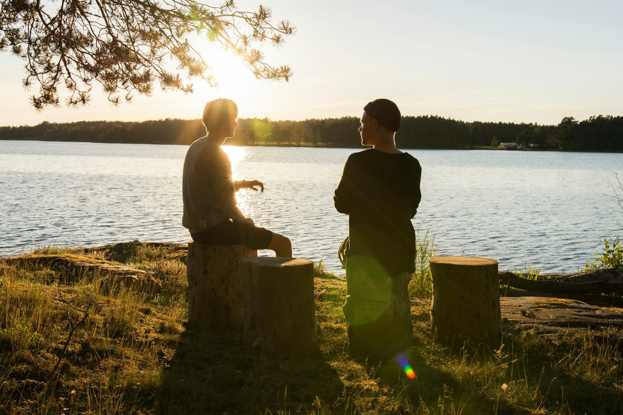 Fem principper, vi arbejder efter